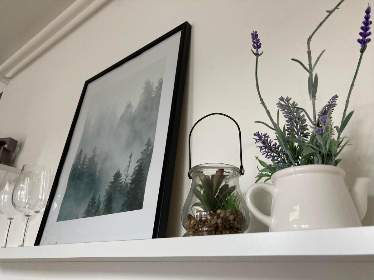 Apartament Miodowa 9 Zwierzyniec Exteriér fotografie